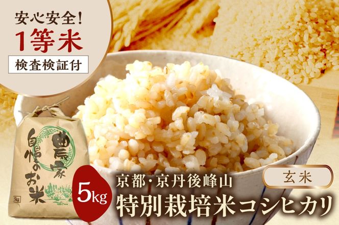 2025年産 京都・京丹後峰山 特別栽培米コシヒカリ 5kg 【玄米】 1等米 検査済証付　MF00050