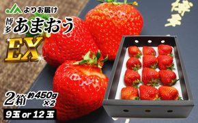 1月より順次発送!「博多あまおう」EX　贈答用化粧箱　約450g 2箱【ほたるの里】_HA0753