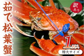 日本海産　ブランド蟹　 茹で松葉蟹 【訳あり】特大サイズ　matubakani1000　SS00126