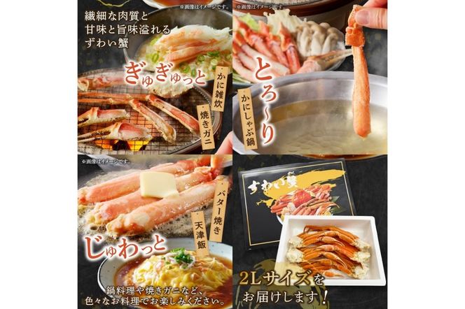 【C-143】数量限定 ボイルずわいがにセクション2Lサイズ(約1.4kg)