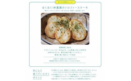 【予約：2025年11月下旬から順次発送】北見産 こだわりの長芋トロフィー 5kg箱 ( 長いも ながいも 野菜 数量限定 期間限定 5キロ )【169-0001-2025】