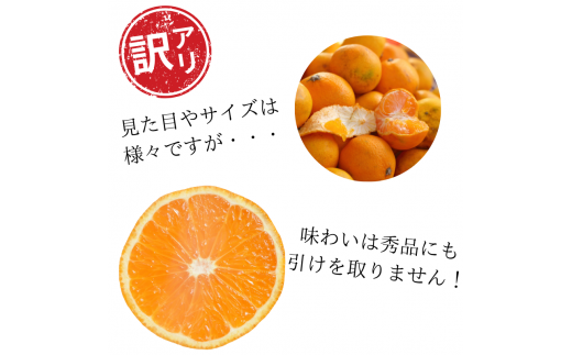 【訳あり】農家直送 有田みかん約5kg ご家庭用 サイズ混合 ※2025年11月中旬から2026年1月中旬までに順次発送予定（お届け日指定不可）※北海道・沖縄・離島への配送不可　訳ありみかん 温州みかん サイズ混合 有機質肥料100% ふるさと納税 柑橘 有田 産地直送 【nuk161D】