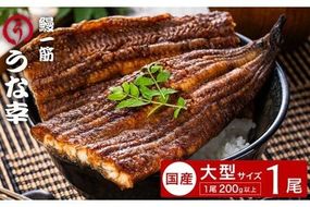 特製タレ 山椒付き 大型1尾 鰻一筋「うな幸」のふわとろ蒲焼き(“国産”大サイズ1本入り) / うなぎ ウナギ 鰻 蒲焼き 1尾 タレ セット 真空パック レンジ