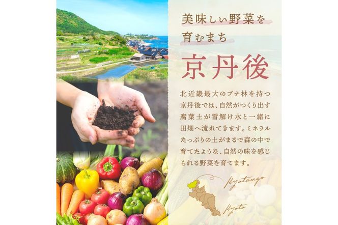 オーガニックファームでのんびり過ごそう！収穫体験&お土産付き(2名様分) BR00017