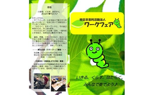 オリジナルマグネット 1個 ( あおむし 磁石 マグネット ) 【179-0001】