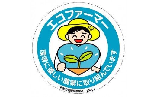  【 県認定エコファーマー】採れたてタネなし柿Ｌサイズ7.5kg/柿 フルーツ 果物 くだもの 先行予約 タネなし 食品 人気 おすすめ 送料無料 和歌山 【art001A】
