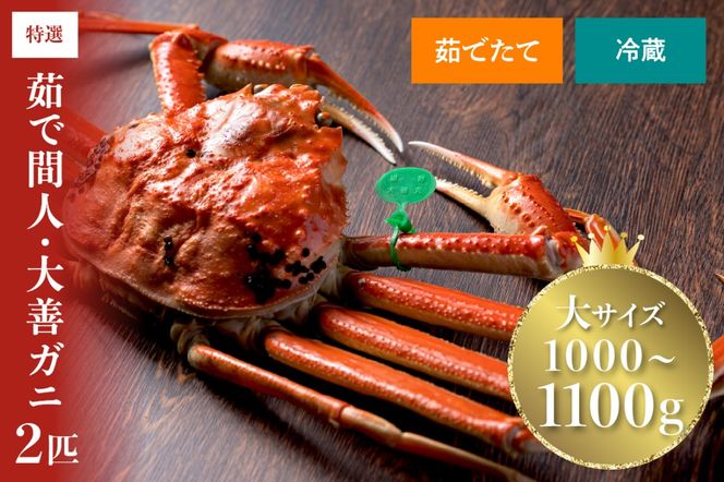 ys{OszyȈ zOsY Ⓚ 䥂ŊԐlKjPKj  TCYi1000`1100gj 2CZbg(2026N1`)@UO01402