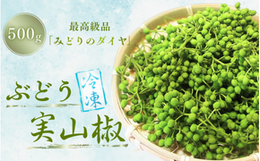 冷凍 ぶどう 生実山椒 500g / 山椒 さんしょう 香辛料 調味料 薬味 冷凍 ぶどう山椒 生山椒 和歌山県 紀美野町 生実山椒【twn006B】