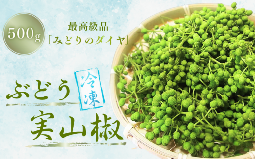 ya̎RI쒬zⓀ Ԃǂ R 500g / R 񂵂傤 h   Ⓚ ԂǂR R a̎R I쒬 Rytwn006Cz