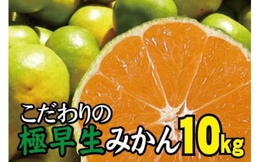 【2025年秋頃発送予約分】＼光センサー選別／ 【農家直送】こだわりの極早生みかん 約10kg 【数量限定】 有機質肥料100% サイズ混合 ※2025年9月下旬より順次発送予定（お届け日指定不可） 