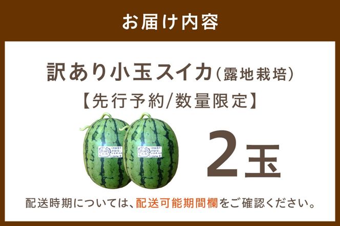 【先行予約／数量限定200】にしまるスイカ 訳あり 2玉入り（露地栽培）（2026年7月中旬から発送）　FR00015