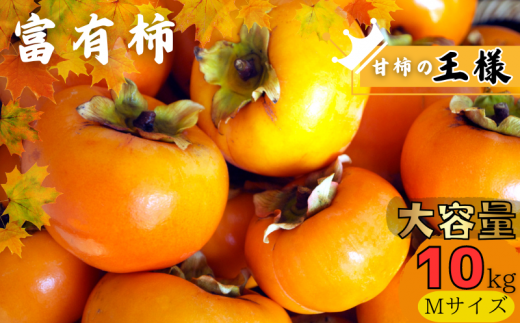 [先行予約][JAわかやま]Mサイズ 富有柿 10kg[2025年11月中旬〜12月上旬に順次発送致します。] 柿 かき カキ フルーツ 果物 人気 旬[jan003]