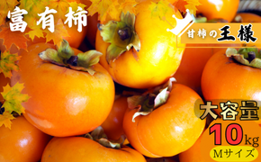 【先行予約】【JAわかやま】Mサイズ 富有柿 10kg【2025年11月中旬～12月上旬に順次発送致します。】 柿 かき カキ フルーツ 果物 人気 旬【jan003】
