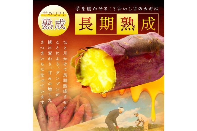 【専用】さつまいも 楽天市場】金時いも 約5kg さつまいも M〜Lサイズ 送料無料 土佐