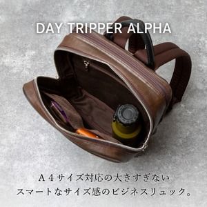 豊岡鞄 リュック CDTH-015 ブラウン