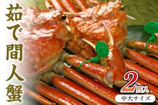 ys{OszOsY 䥂ŊԐlI yIz TCY@taizakani800@2C@SS00113