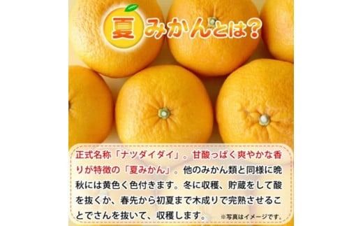 【先行予約】夏みかん 7.2kg ※2026年4月中旬頃〜2026年4月下旬頃順次発送（お届け日指定不可）/ 和歌山 柑橘 フルーツ くだもの 果物 オレンジ みかん【uot775】