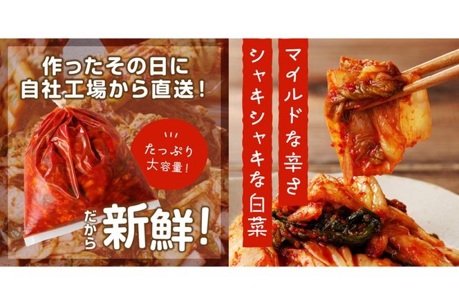 【A-840】春ばあちゃんの白菜キムチ1kg