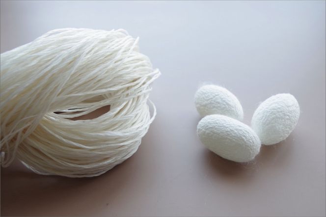 シルクの美肌成分 ”セリシン” たっぷり 濃いシルクのボディウォッシュ　tori 鳥　FI00031