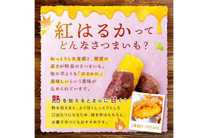 ＜てんとうむしばたけ＞有機さつまいも(紅はるか)5kg　有機野菜 さつま芋 サツマイモ 薩摩芋 ふるさと納税 野菜 イモ 期間限定 紅はるか 甘い 貯蔵 熟成 オーガニック ねっとり あまい焼き芋 国産 ほくほく 土付き 旬 秋 京都産　BR00074