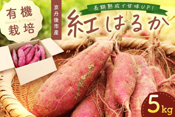 てんとうむしばたけ＞有機さつまいも(紅はるか)5kg BR00030