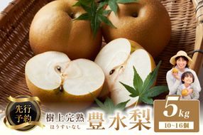【先行予約】樹上完熟 豊水梨 5kg（10～16個）（2026年8月下旬～発送）　BF00010