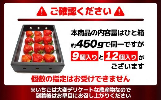 12月発送！「博多あまおう」EX　贈答用化粧箱　約450g 1箱【ほたるの里】_HA0754