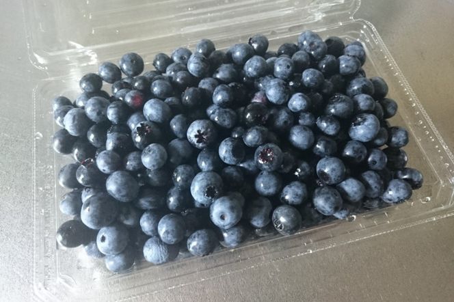 【先行予約／数量限定80】国産 京都丹後ブルーベリー 350g×2パック（2026年7月上旬～発送）　MB00002