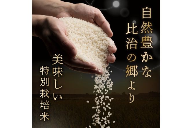 令和7年産 特別栽培米コシヒカリ 蔵人（くらんど） 精米3kg　GF00004