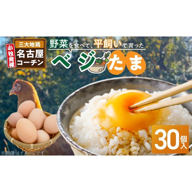 【医師監修】野菜を食べて育った平飼いの卵「名古屋コーチン ベジたま」（30個入り）［154T01］