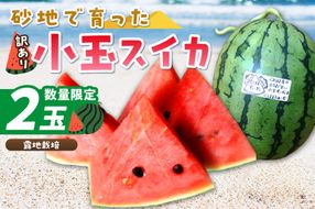 【先行予約／数量限定200】にしまるスイカ 訳あり 2玉入り（露地栽培）（2026年7月中旬から発送）　FR00015