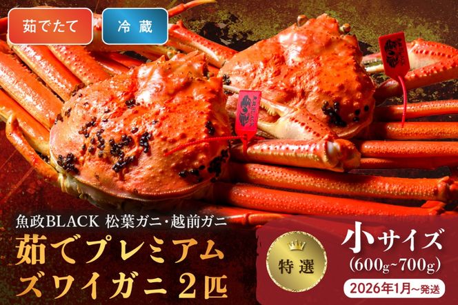 【蟹の匠 魚政】茹で　プレミアムズワイガニ 魚政BLACK（松葉ガニ・越前ガニ）特撰 小サイズ（600～700g） 2匹セット　 (2026年1月～発送)　UO01303