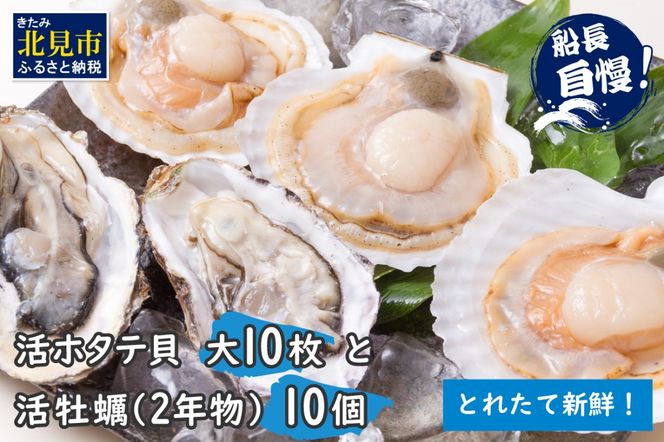 ykCkszy\F2025N11{珇zz^eL  10Ey 2N 10 ( CN  L  ق z^e JL  y Zbg BBQ )y114-0046z