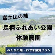 S25足柄ふれあい公園　体験農園　みんなの畑・おやま協賛プラン\t