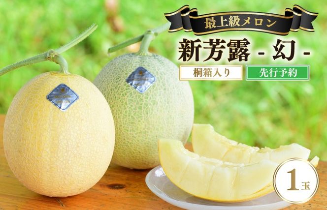 【先行予約】 年間生産量200玉の最上級メロン「新芳露-幻-」（2026年7月下旬～発送）　DE00168