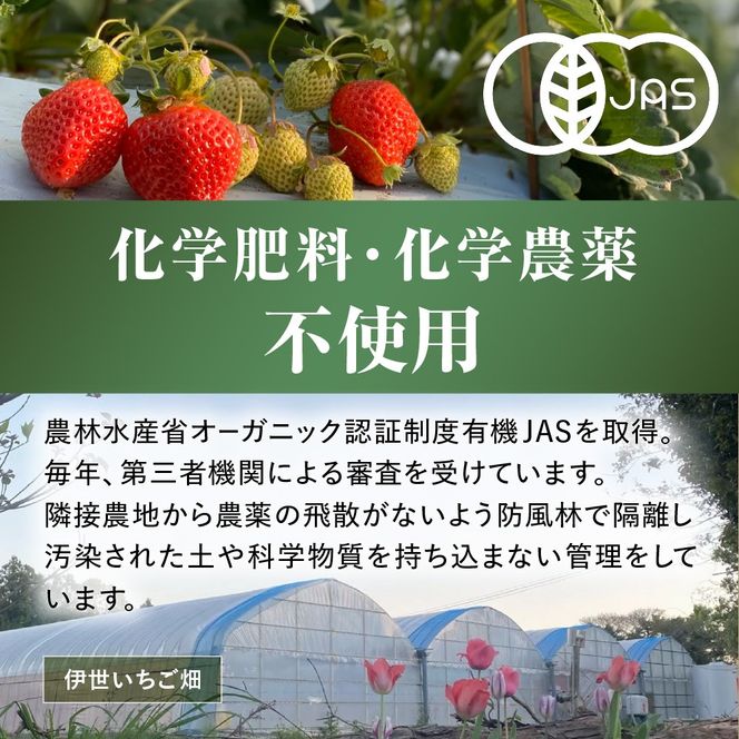 オーガニックあまおう「いせいちご」2パック(280g×2)_HA1116