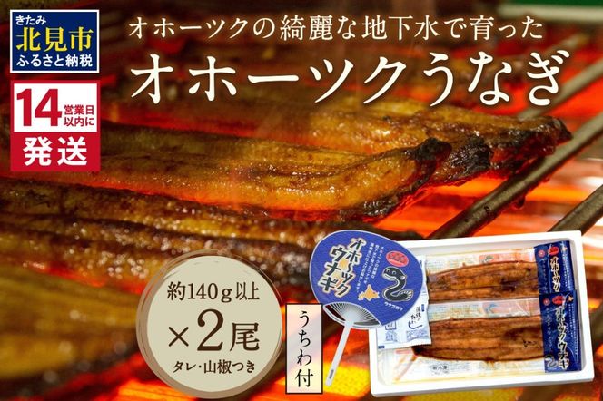 ykCkszs14cƓȓɔtIz[cNYȒnň Iz[cN Ȃ 2 (  Ă N̓ ypN̓ )y160-0003z