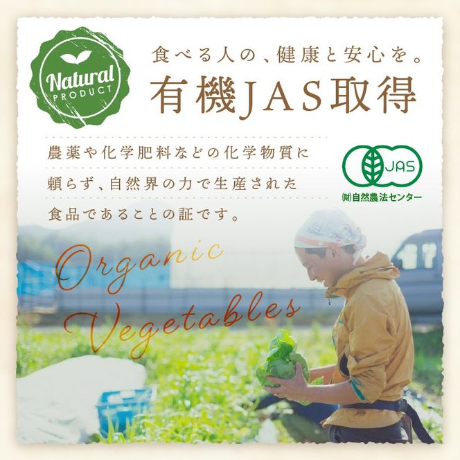 【先行予約：8月配送】＜てんとうむしばたけ＞夏のオーガニック野菜セット　有機野菜6～7種前後　BR00057_08