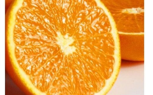 [予約][ジューシー]清見オレンジ 5kg ※2026年3月下旬頃〜2026年4月中旬頃に順次発送予定(お届け日指定不可)/ 果物 フルーツ くだもの ミカン オレンジ [uot710-2]