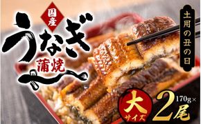 【土用の丑の日までにお届け！】【大型サイズ】国産 大型サイズ ふっくら柔らか 国産うなぎ蒲焼き 2尾 化粧箱入 先行予約 国産 うなぎ ウナギ 鰻 蒲焼 土用の丑の日 丑の日 【uot302A-dy】