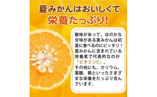【先行予約】夏みかん 7.2kg ※2026年4月中旬頃〜2026年4月下旬頃順次発送（お届け日指定不可）/ 和歌山 柑橘 フルーツ くだもの 果物 オレンジ みかん【uot775】