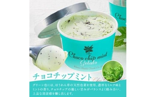 ミントジェラート カップ 3種×2個 ( ジェラート アイス アイスクリーム ハッカ チョコ ミント ミントアイス スイーツ チョコチップミント カカオ カップアイス ふるさと納税 )【007-0010】