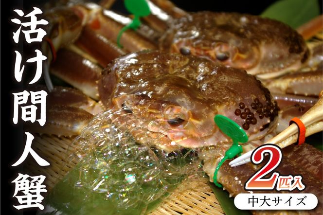 ys{OszOsY ԐlI yIz TCY@taizakani800@QC@SS00112