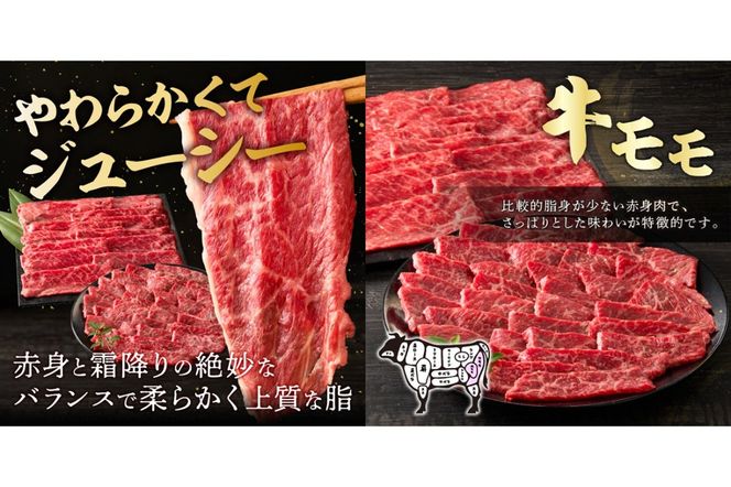 【C2-019】博多和牛 モモ焼肉用・スライス