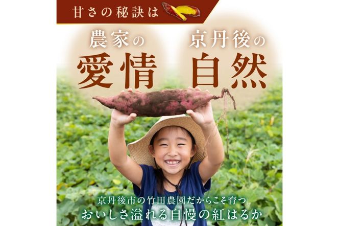 さつまいもオブザイヤー2部門で全国1位のさつまいも農家がつくるサツマイモ3種食べ比べセット（紅はるか・ふくむらさき・栗かぐや）計約5kg　TF00060