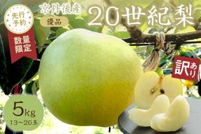 【先行予約／数量限定100】【訳あり】20世紀梨 優品 5kg（13～20玉入り）（2026年9月上旬～発送）　SF00039