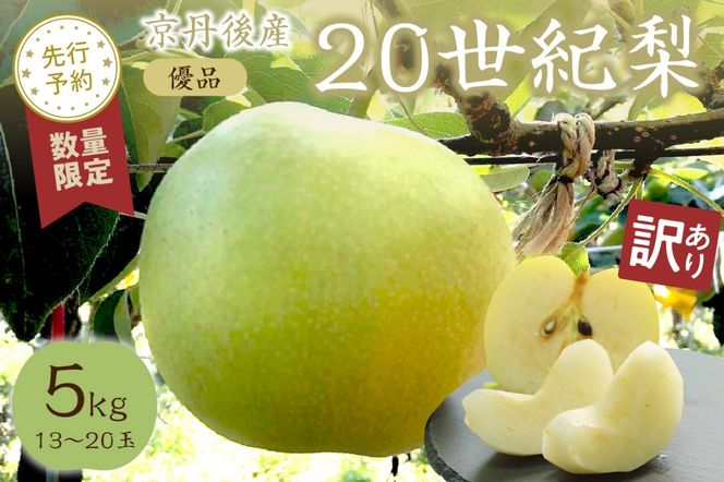 【先行予約／数量限定100】【訳あり】20世紀梨 優品 5kg（13～20玉入り）（2026年9月上旬～発送）　SF00039