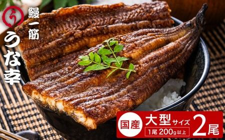 yɌLsz^ Rt ^2 V؁uȍKv̂ӂƂ늗Ă(gYhTCY2{) / Ȃ EiM V Ă 2 ^ Zbg ^pbN W