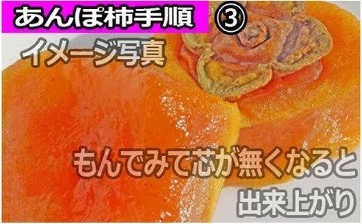  【県認定エコファーマー】あんぽ柿用生渋柿（平たねなし柿）  約14.5～15kg【10月下旬から順次発送】/柿 フルーツ 果物 くだもの 先行予約 タネなし 【art002B】