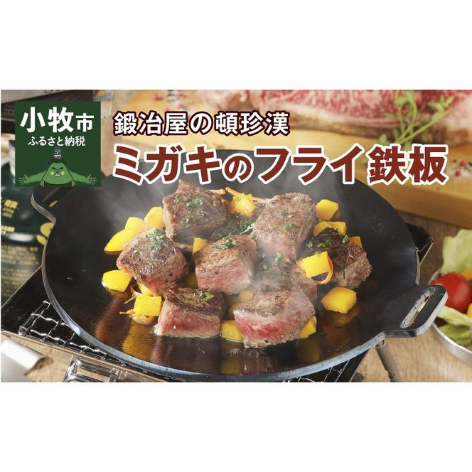 ymqszb艮̓ڒ tCS F220S 4.5mm a22cm[050S07]